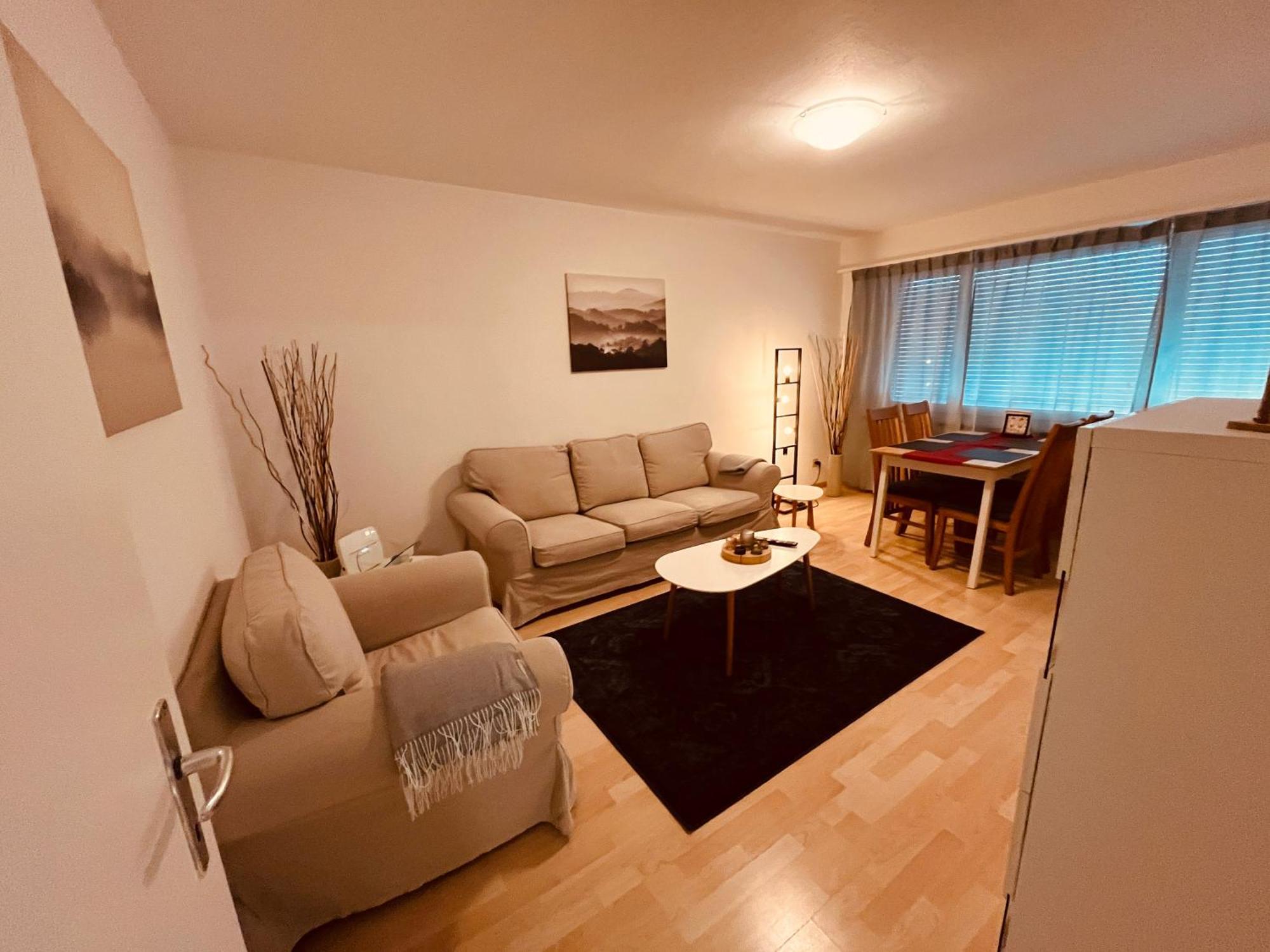 3-Room Apartment For Business Travelers & Families, Free Wifi & Tv With 70 Countries, Dazn, Sky, Netflix & Disney Wynau Bagian luar foto